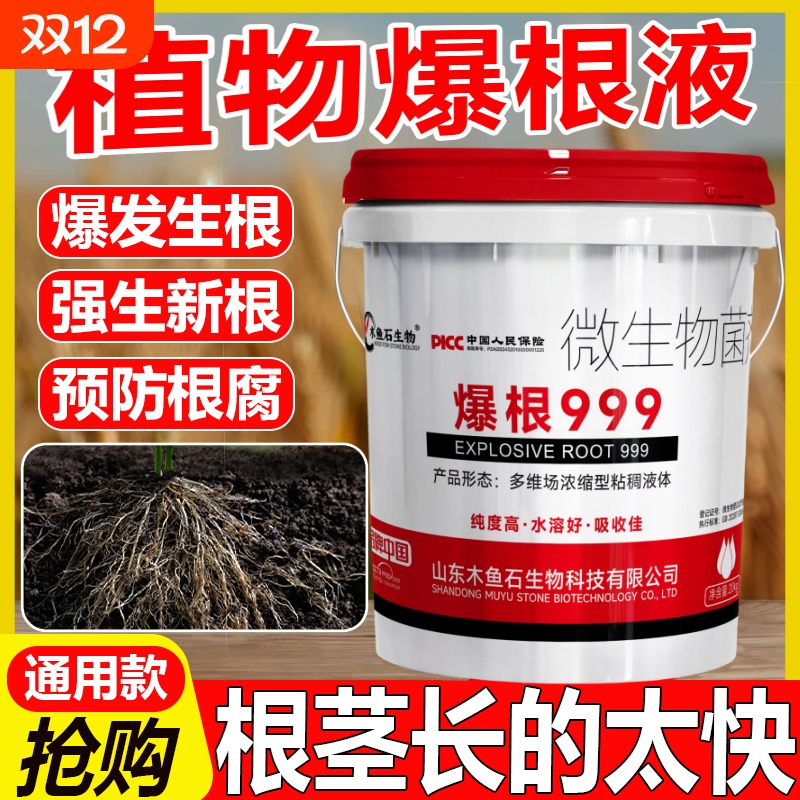 生根壮苗水溶肥强力菌剂