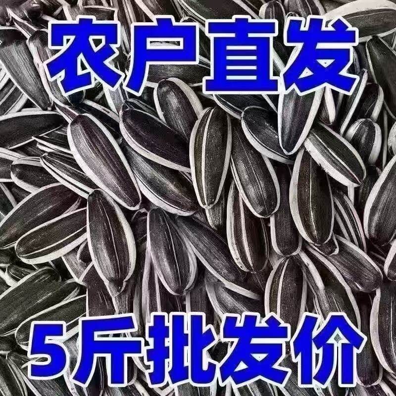 【特大颗粒】内蒙古新货瓜子葵花籽特价瓜子原味炒熟炒货散装批发