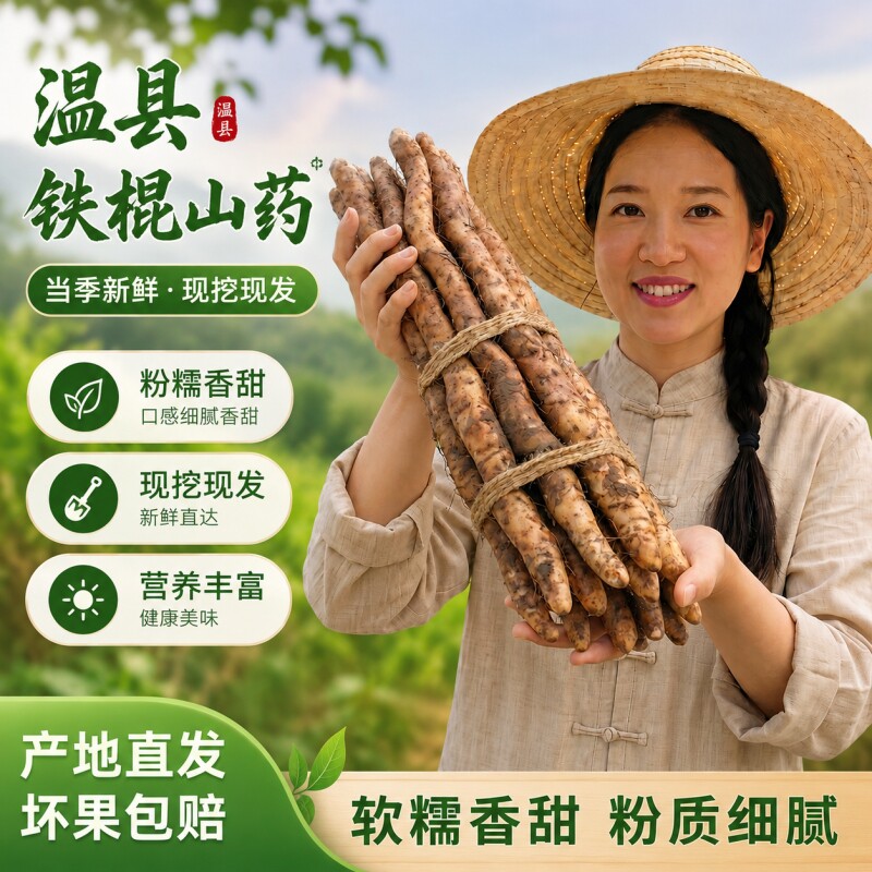2026年正宗河南焦作温县垆土铁棍山药新鲜淮怀山农家蔬菜早餐红枣