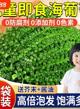 盐渍即食海葡萄新鲜海草海藻海带零食压缩凉拌菜儿童营养健康小吃
