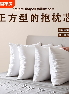抱枕芯内胆455060沙发靠枕腰枕靠背垫套靠垫羽丝绒长方形真空高度
