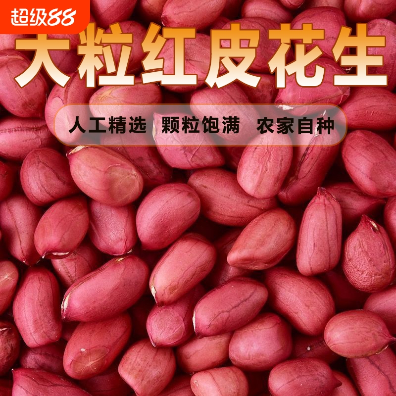 2025新货大粒红花生|千人加购