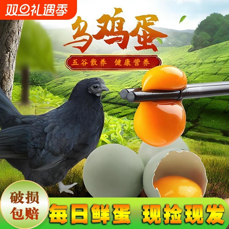 绿壳蛋乌鸡蛋农家散养乌鸡蛋新鲜现捡现发土鸡蛋正宗山林鸡蛋