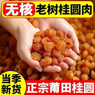 新货桂圆肉干无核非特级龙眼肉干500g福建莆田特产桂圆干即食泡水