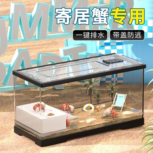 乌龟生态造景缸带过滤器一键