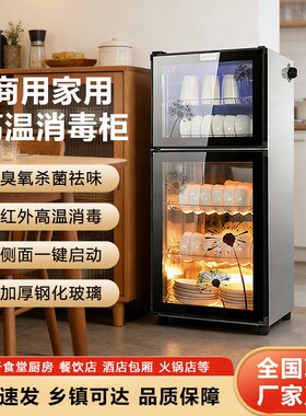 新款消毒烘干碗柜家用立式小型厨房商用台式餐具碗筷子消毒柜茶杯