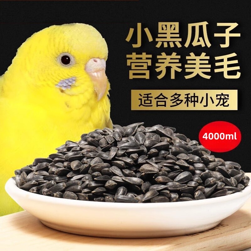 油葵小瓜子鸟粮饲料训练奖励食物虎皮玄凤牡丹鹦鹉瓜子鸟食仓鼠