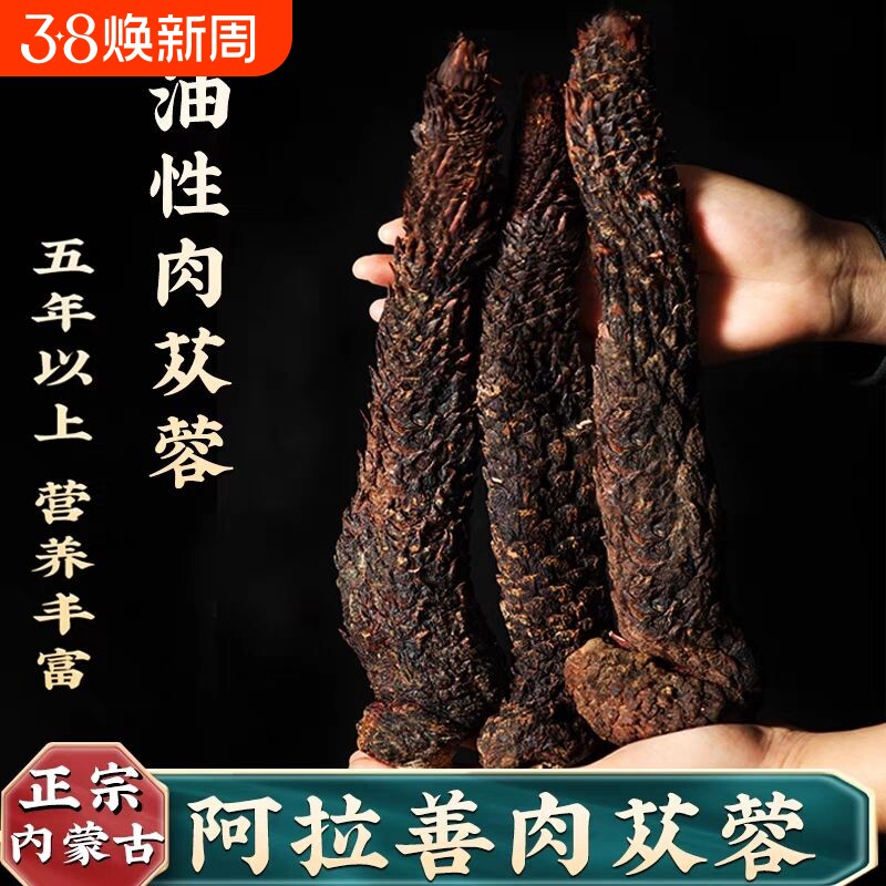正宗阿拉善肉苁蓉特级野生整根油性软质肉苁蓉男性泡酒切片泡水茶
