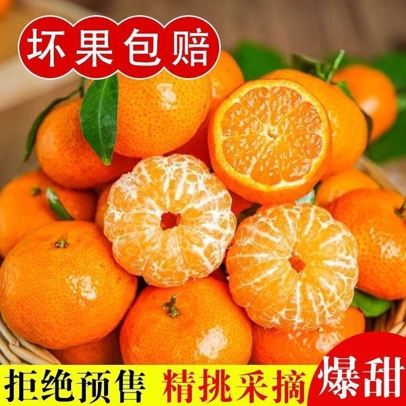 正宗广西沙糖桔新鲜当季水果砂糖橘子整箱桔子柑橘薄皮采摘现摘,水产肉类/新鲜蔬果/熟食,桔子,淘宝优惠券,粉丝福利购,淘宝优惠卷
