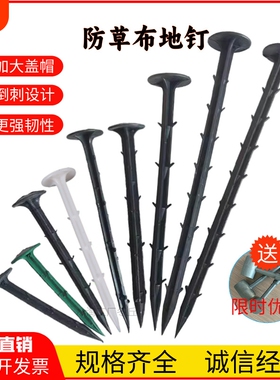 防草布地钉塑料除草布地布钉果园黑色地钉大棚地膜固定钉厂家直销