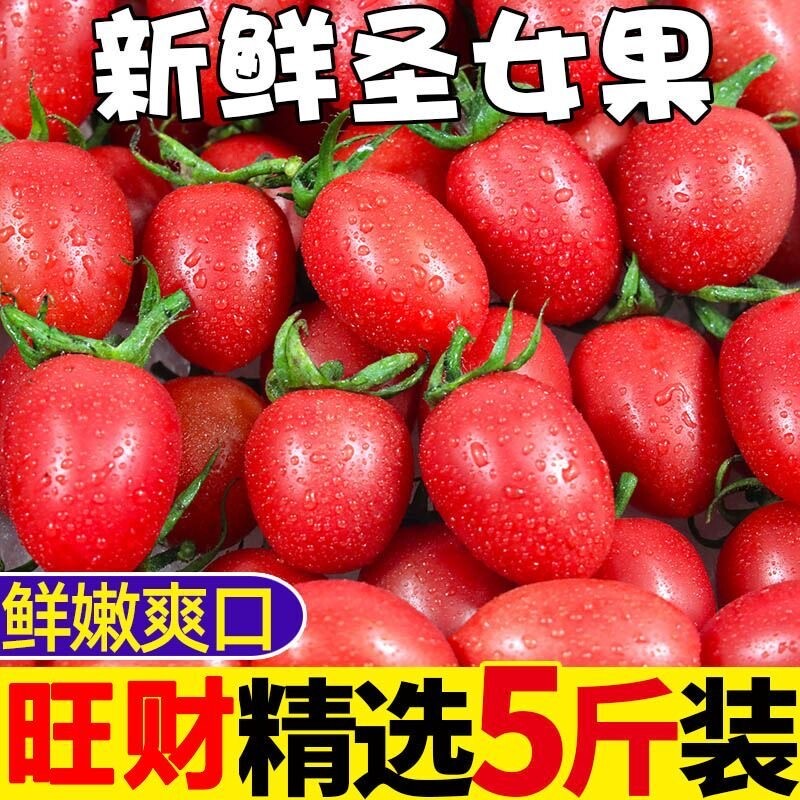 正宗新鲜圣女果小西红柿小番茄孕妇应季水果蔬菜生吃非千禧果生鲜