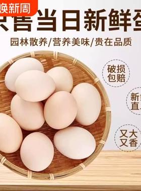 当天现收土鸡蛋农家散养柴鸡蛋富硒虫草蛋五谷草鸡蛋40g±5g/枚