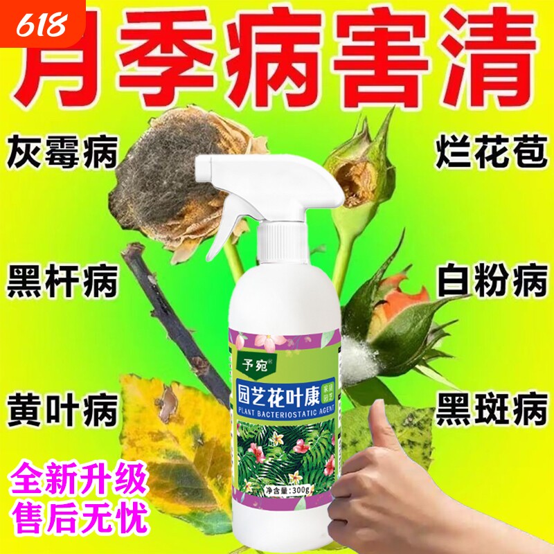 月季黑斑病专用药玫瑰花卉植物叶子发黄叶斑病月季花病虫害常用药