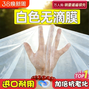 加厚白色大棚膜塑料薄膜透光保温膜大棚专用塑料布农用种植无滴膜