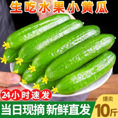 山东小黄瓜水果黄瓜新鲜现摘