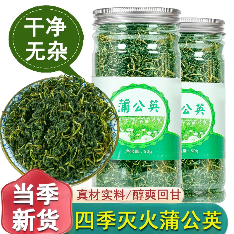 蒲公英茶正品长白山婆婆丁叶根