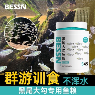 黑尾大勾鱼饲料BESSN鱼粮群游训食红鼻子剪刀一眉道人孔雀鱼小型