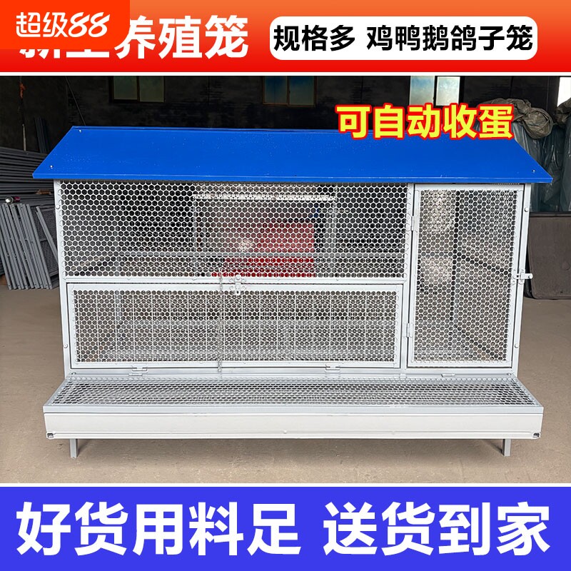 鸡笼子家用室外防雨自动收蛋防啄防黄鼠防鼠加厚不锈下蛋养殖笼图片