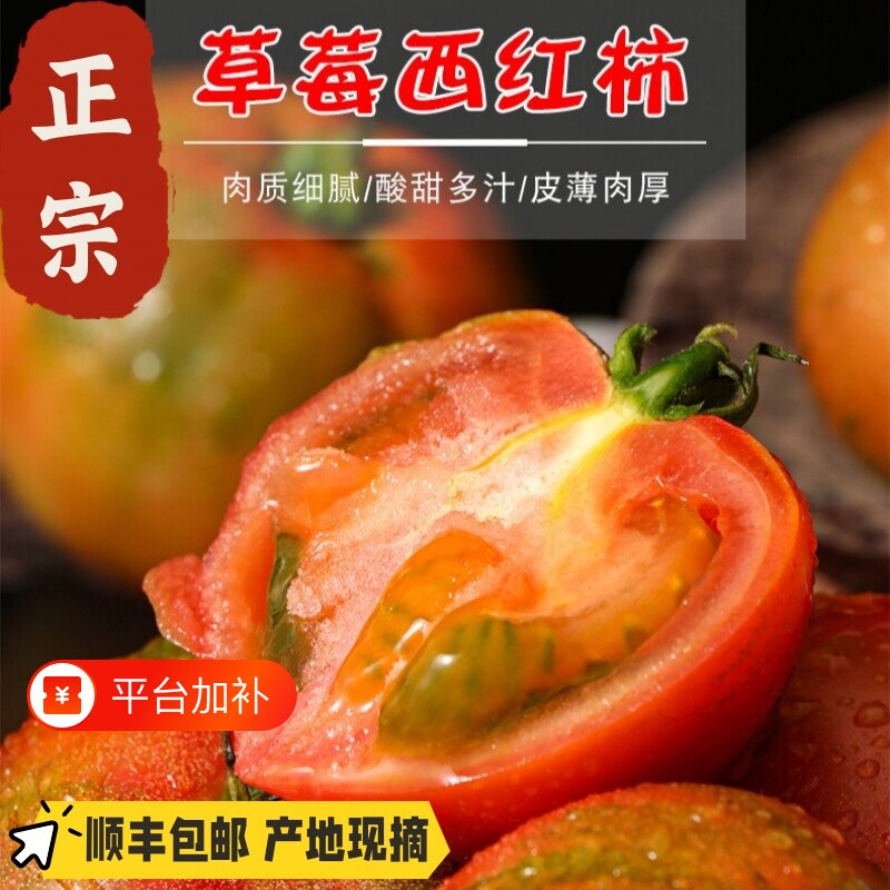 草莓柿子丹东铁皮柿子顺丰包邮新鲜水果碱地番茄灯笼果绿腚柿顺丰