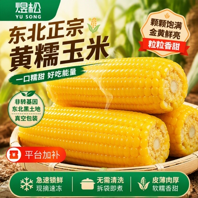 东北正宗黄糯玉米煜松真空包装糯玉米自产自销产地粗粮香甜现摘