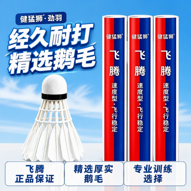 羽毛球无标室内外练习比赛训练休闲娱乐鹅毛球俱乐部用球12只装