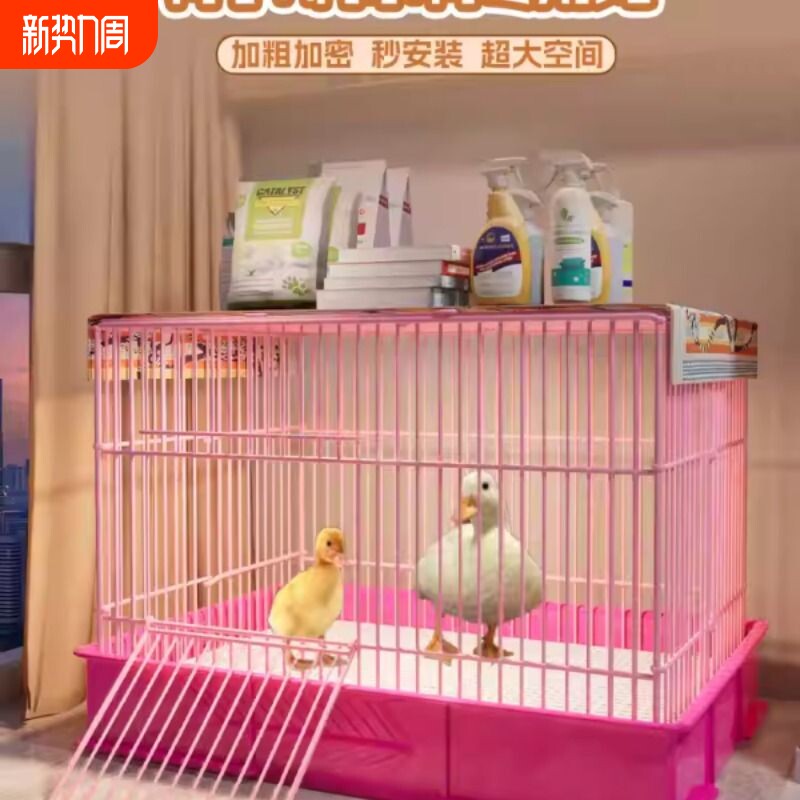 柯尔鸭专用笼子家用小鸡笼宠物专用铁丝室内外大号养殖笼自动清粪