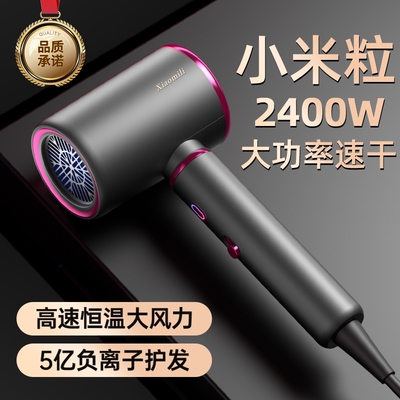 早鱼电吹风负离子护发静音速干