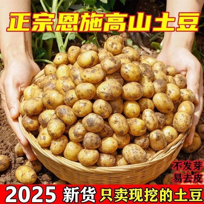 恩施土豆小土豆湖北批发迷你黄心新鲜高山蔬菜洋芋现挖马铃薯整箱,水产肉类/新鲜蔬果/熟食,土豆,淘宝优惠券,粉丝福利购,淘宝优惠卷