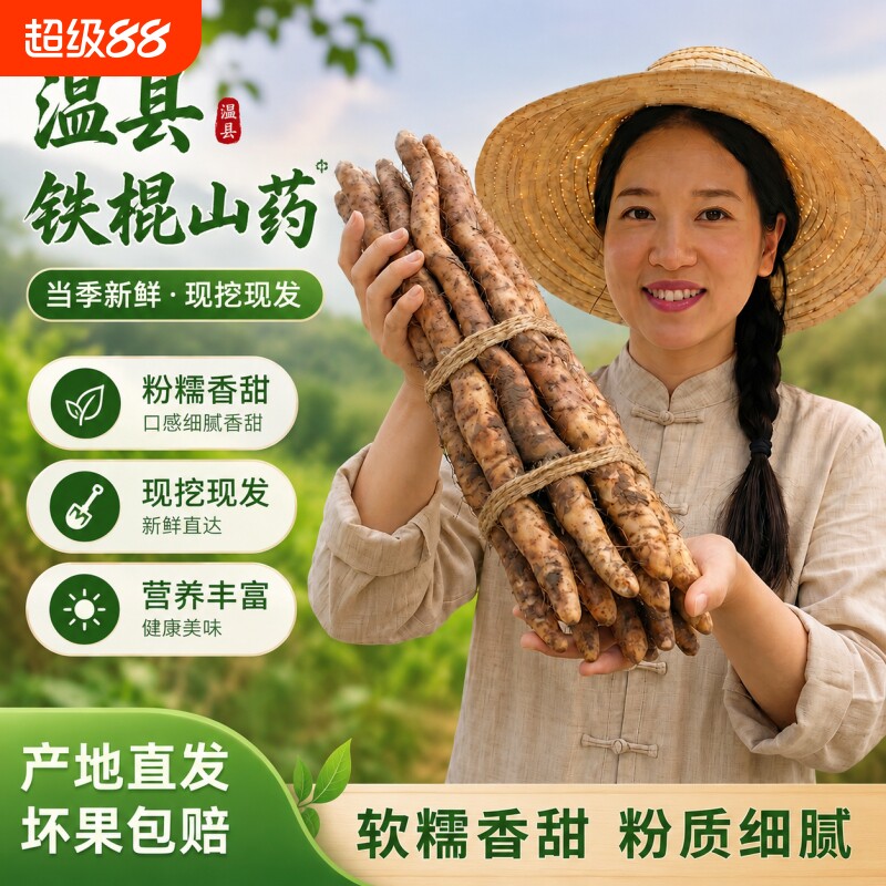 2026年正宗河南焦作温县垆土铁棍山药新鲜淮怀山农家蔬菜早餐红枣