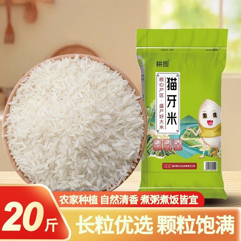 南方大米丝苗米10斤/20斤当季新米晚稻米猫牙香米长粒家用米饭