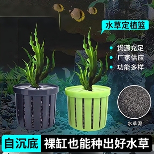 鱼缸水草定植篮家用造景装 饰定植杯花卉固根器水草泥沉底固定神器