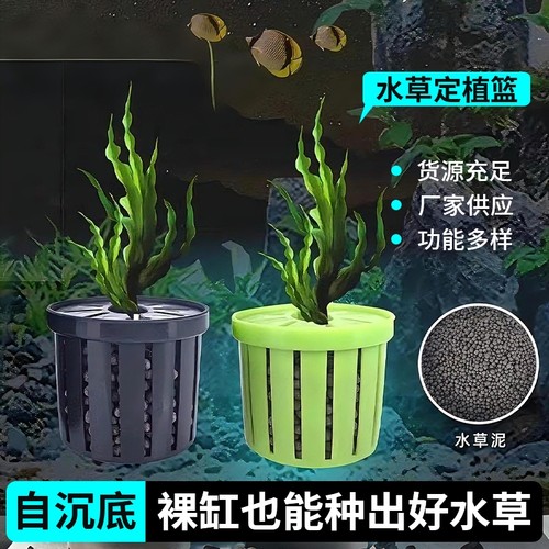 水草定植篮家用装饰|千人加购