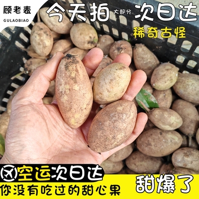 空运云南甜心果爆甜新鲜当季孕妇水果西双版纳特产人心果稀奇古怪