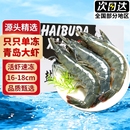 冷链鲜虾超大青岛大个海捕大虾3斤