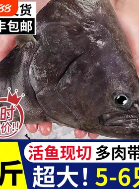 碟鱼头冷冻鲽鱼头鸦片鱼头深海新鲜比目鱼商用批发蝶鱼头海鲜鱼身