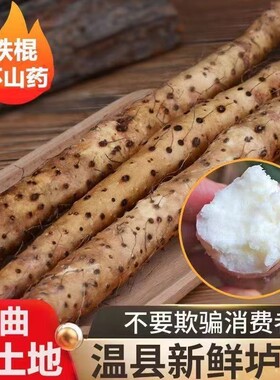 河南焦作温县垆土铁棍山药月子套餐中医推荐催乳新鲜粉糯怀山药