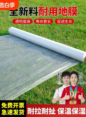 保温白地膜大棚塑料薄膜白色地膜蔬菜种子黑色农用工程膜透明银黑