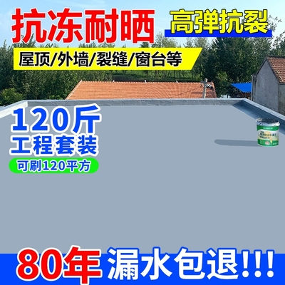 屋顶防水补漏专用涂料楼顶房顶堵漏王外墙裂缝渗水漏水材料防漏胶