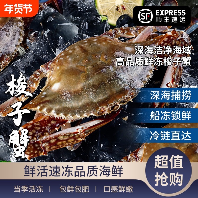 舟山梭子蟹鲜活速冻海蟹大螃蟹新鲜白蟹公蟹飞蟹水产海鲜送礼