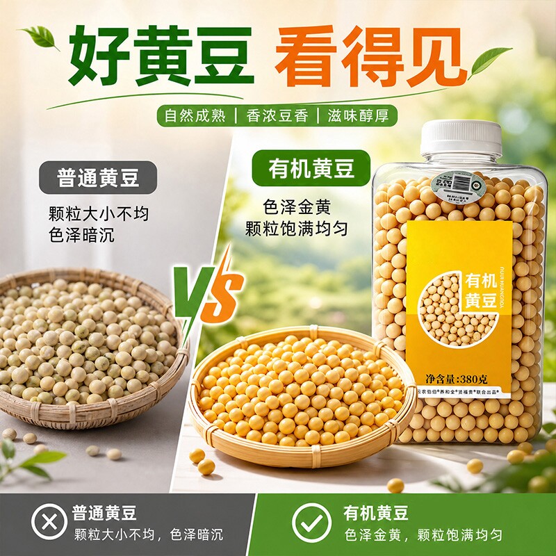 有机黄豆黑龙江农家新豆新鲜五谷杂粮生豆芽专用黄豆非熟