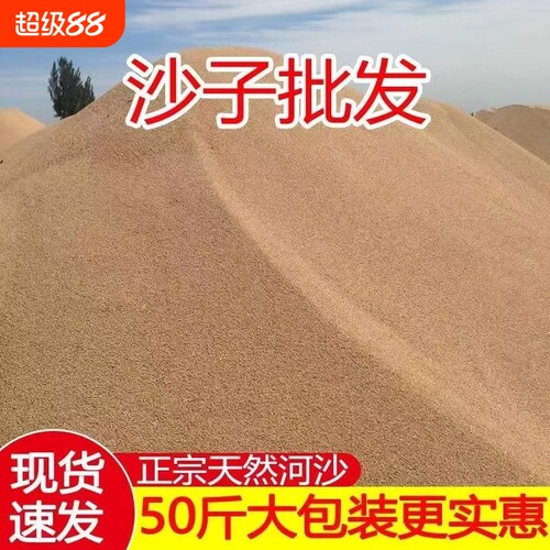 沙子50-100斤工地河沙种植养花沙多肉装修建筑沙子底沙天然河沙