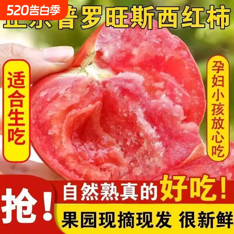 应季自然熟正宗普罗旺斯沙瓤水果西红柿生吃番茄儿童老人蔬菜现摘