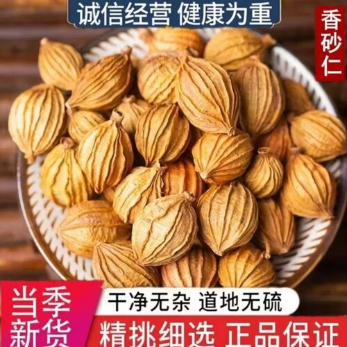 四川香砂仁香料500g 砂沙仁黄金砂仁优质特产炖肉卤菜调料大全
