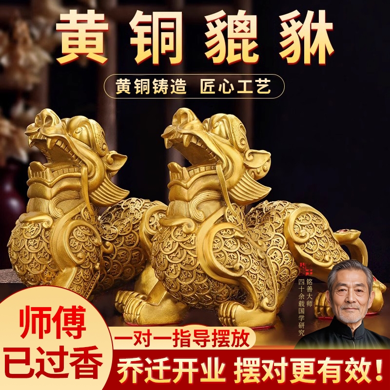 铜貔貅招财摆件客厅聚财旺财纯铜公母一对皮丘客厅貔犰办公室店铺