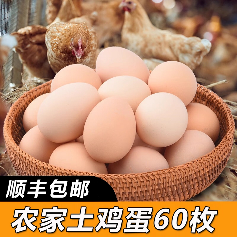 甘肃新鲜土鸡蛋60枚正宗农家散养农村乌柴笨草生鲜鸡蛋 50g/枚