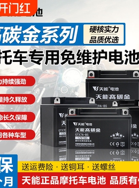 天能摩托车电瓶12V7AH9ah踏板弯梁车12V5A干电池免维护蓄电池通用