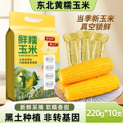 东北黄糯玉米新鲜采摘当季新货