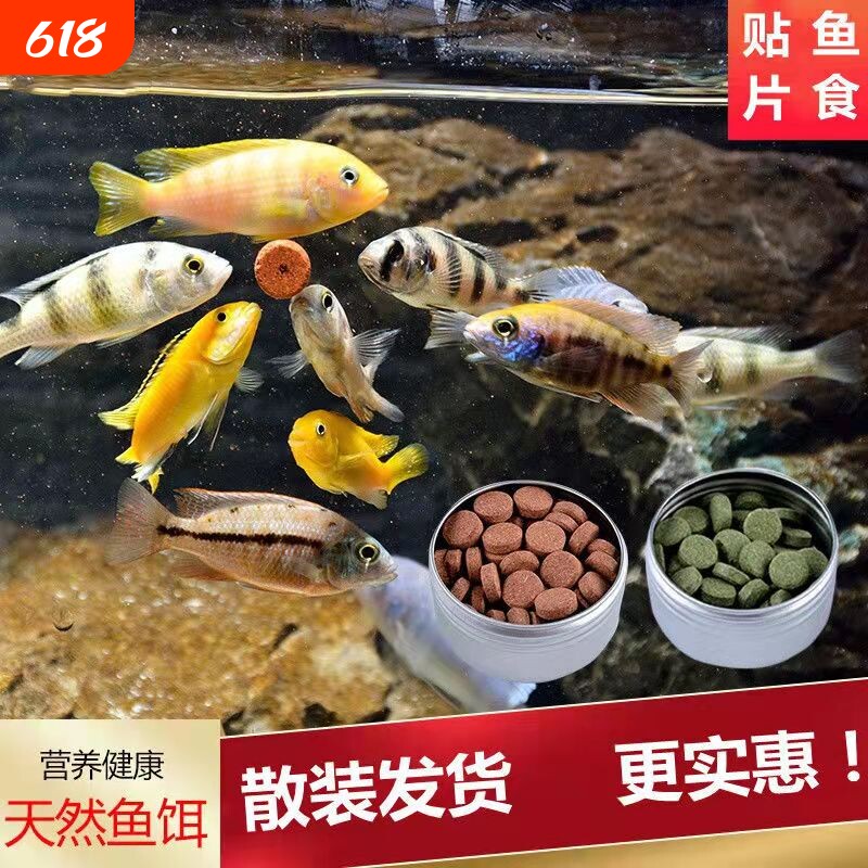 贴片鱼饲料鱼食小型孔雀鱼鱼粮灯鱼斗鱼金鱼热带鱼通用开口丰年虾