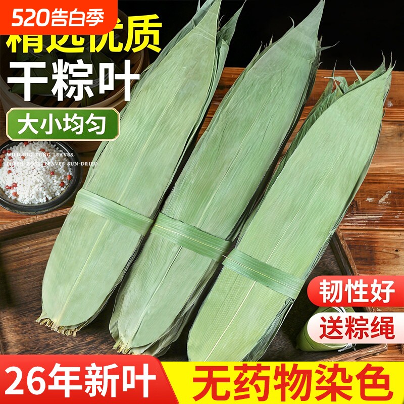 粽子叶粽叶干大号棕叶新鲜包粽子的竹叶子干粽叶商用箬叶批发材料