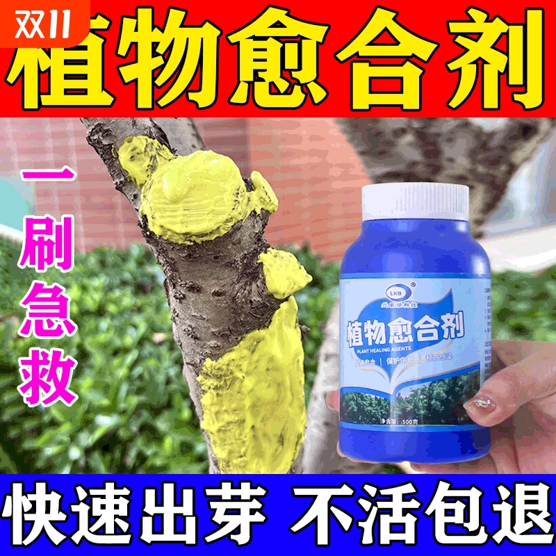植物树木伤口愈合剂盆景